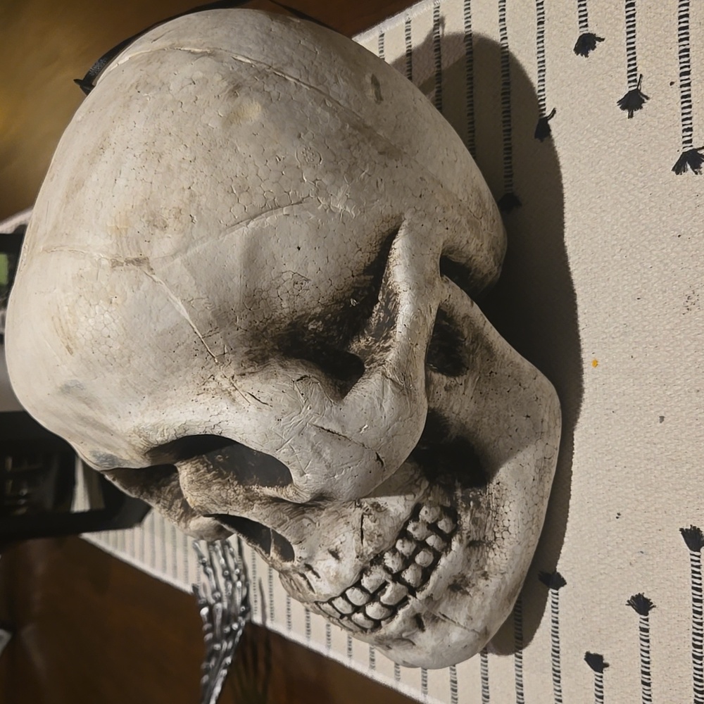 Halloween Skull - Picture 3 of 6